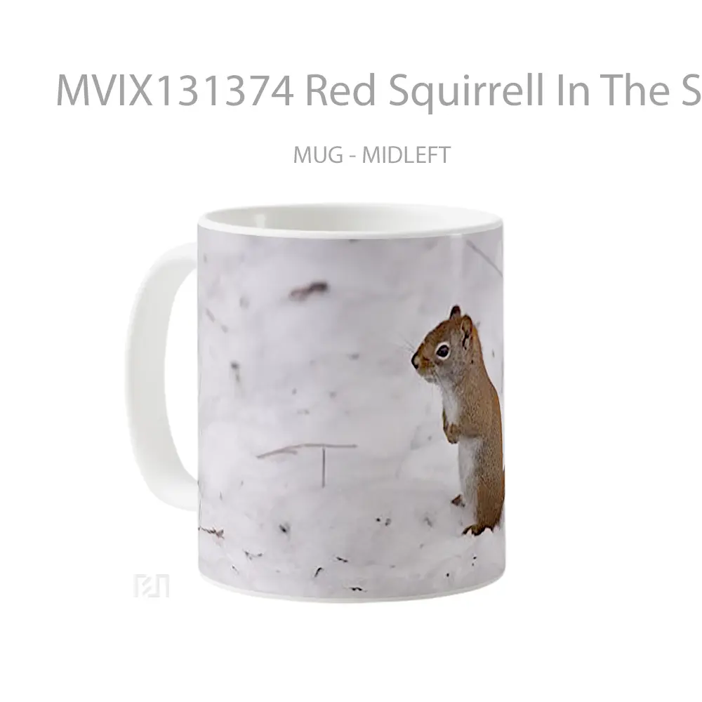 Mug Red Squirrell In The Snow Gelas Pemandangan Alam - All-side / Desain