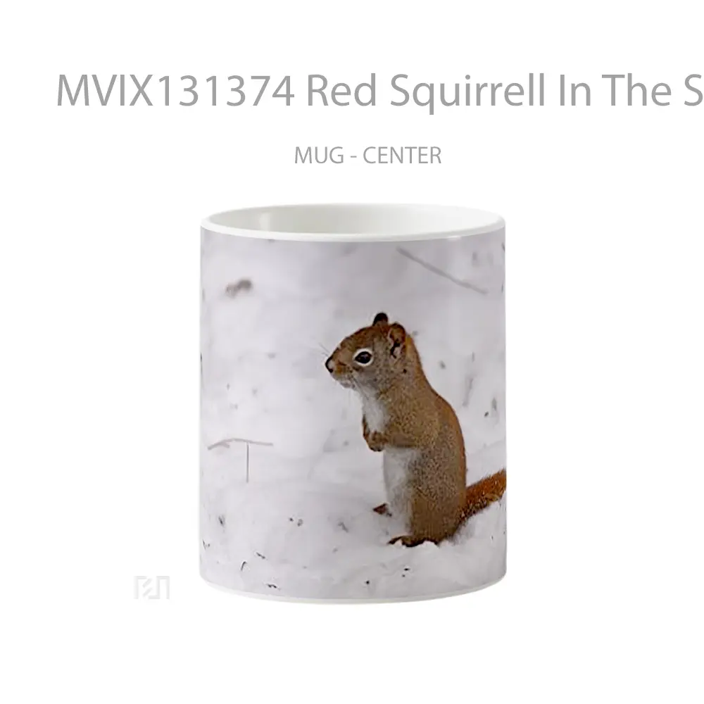 Mug Red Squirrell In The Snow Gelas Pemandangan Alam