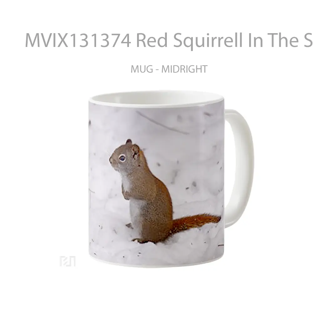 Mug Red Squirrell In The Snow Gelas Pemandangan Alam - All-side / Desain