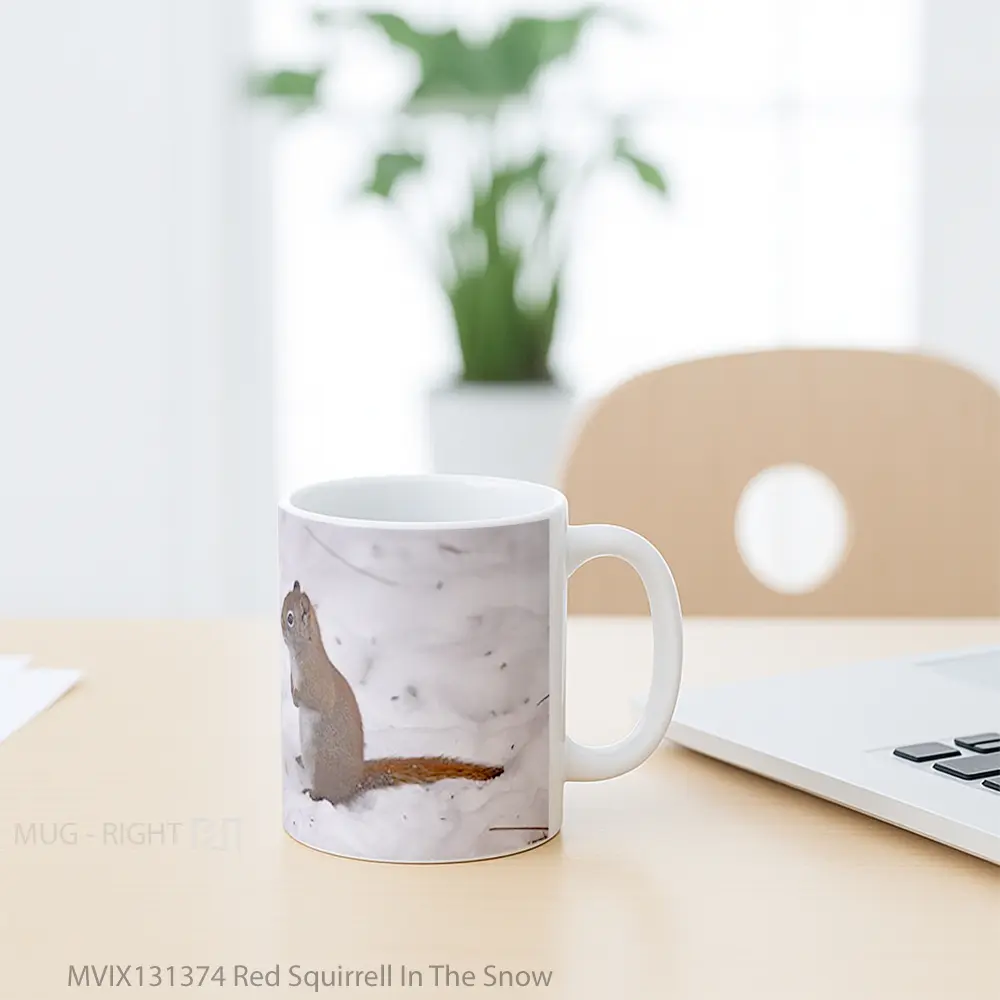 Mug Red Squirrell In The Snow Gelas Pemandangan Alam - All-side / Desain