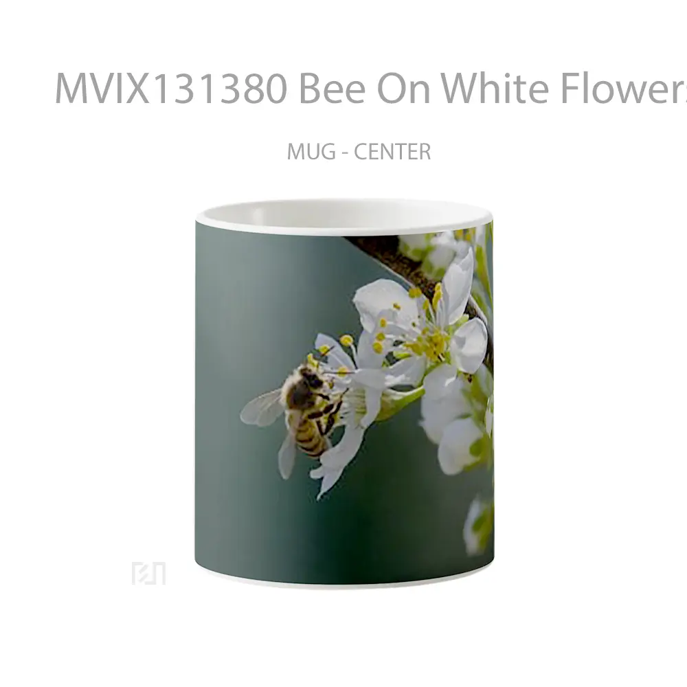 Mug Bee On White Flowers Gelas Hewan Lucu
