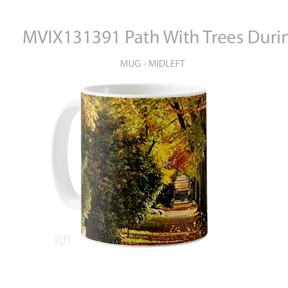 Mug Path With Trees During Autumn Gelas Pemandangan Alam - All-side / Desain
