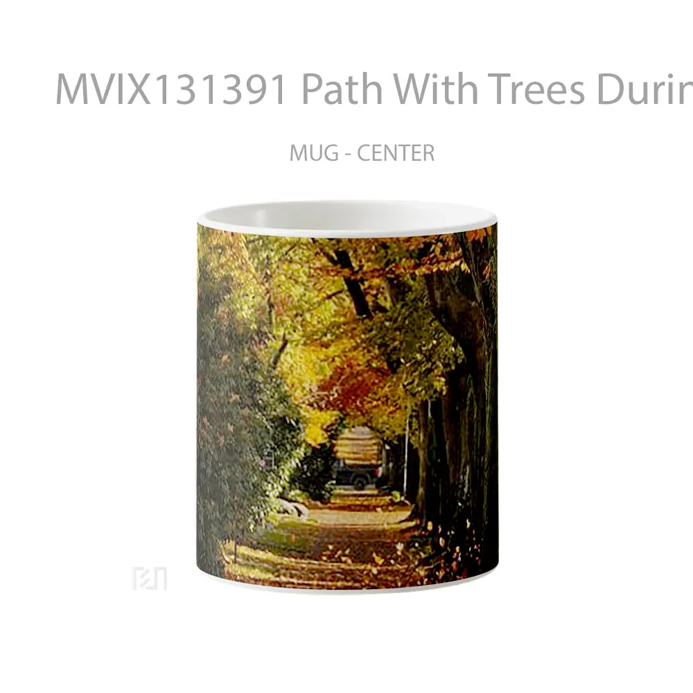 Mug Path With Trees During Autumn Gelas Pemandangan Alam