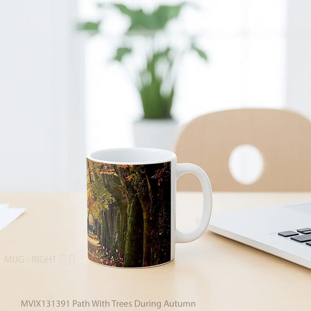 Mug Path With Trees During Autumn Gelas Pemandangan Alam - All-side / Desain