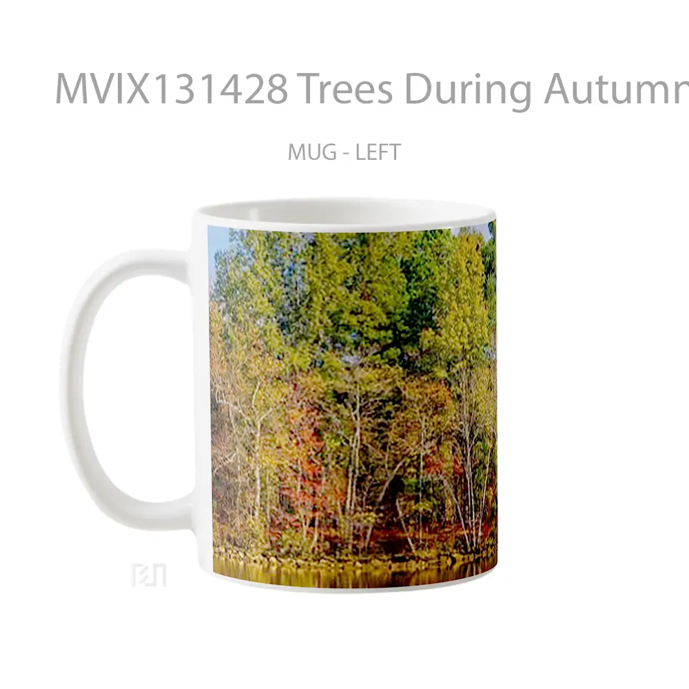 Mug Trees During Autumn Reflected In Lake Gelas Pemandangan Alam - All-side / Desain