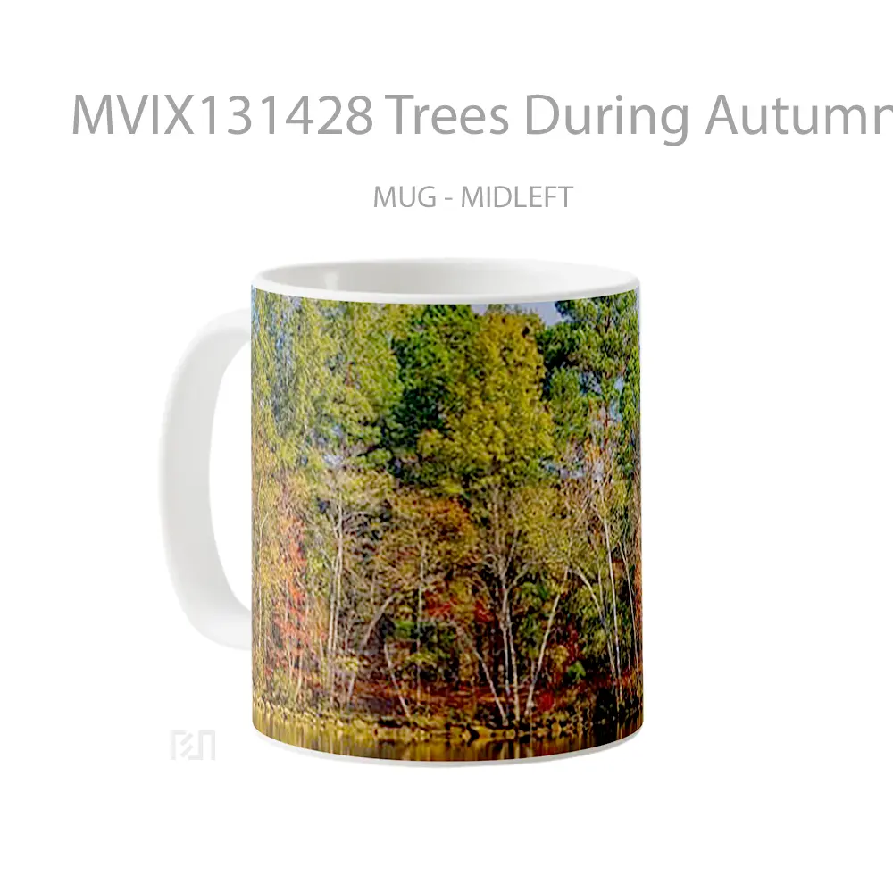 Mug Trees During Autumn Reflected In Lake Gelas Pemandangan Alam - All-side / Desain