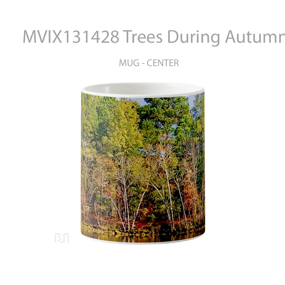 Mug Trees During Autumn Reflected In Lake Gelas Pemandangan Alam