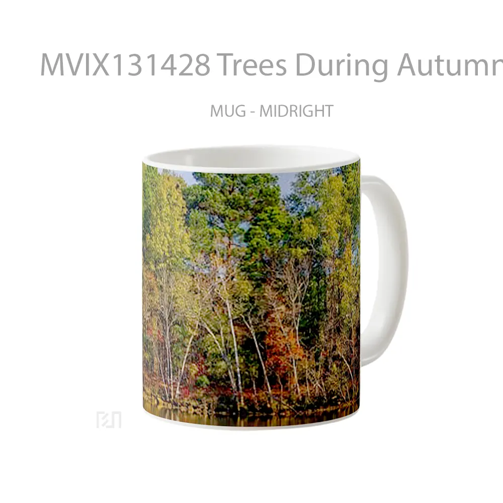 Mug Trees During Autumn Reflected In Lake Gelas Pemandangan Alam - All-side / Desain