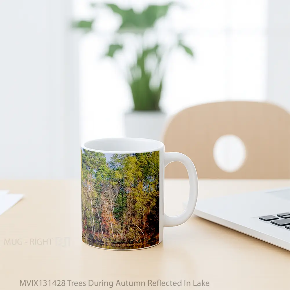 Mug Trees During Autumn Reflected In Lake Gelas Pemandangan Alam - All-side / Desain
