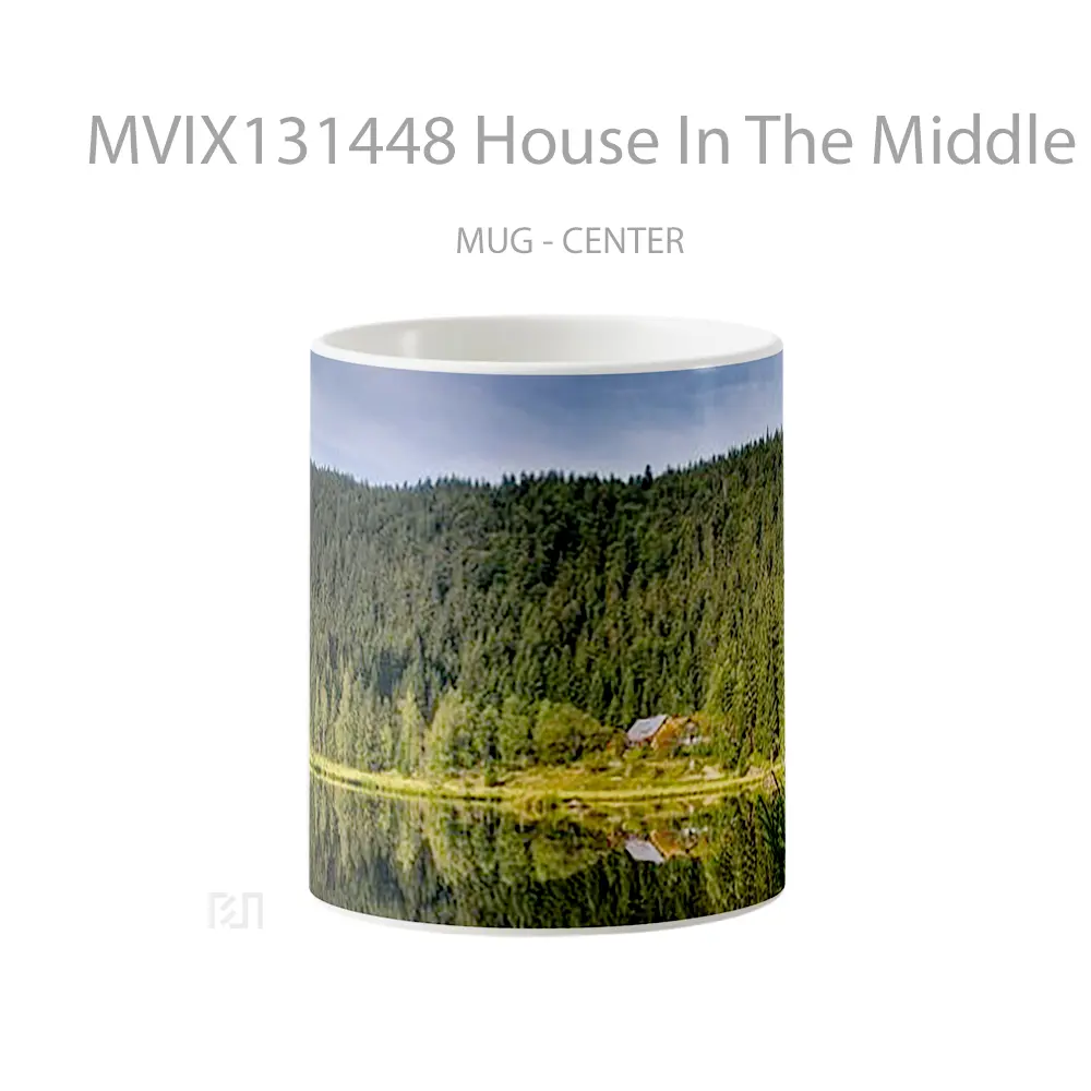 Mug House In The Middle Of Forest Next To Lake Gelas Pemandangan Alam