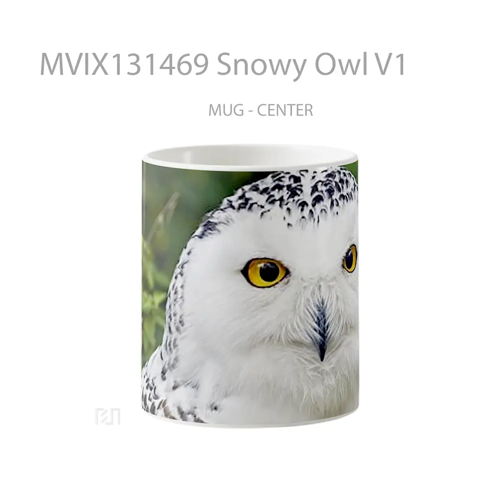 Mug Snowy Owl V1 Gelas Hewan Lucu