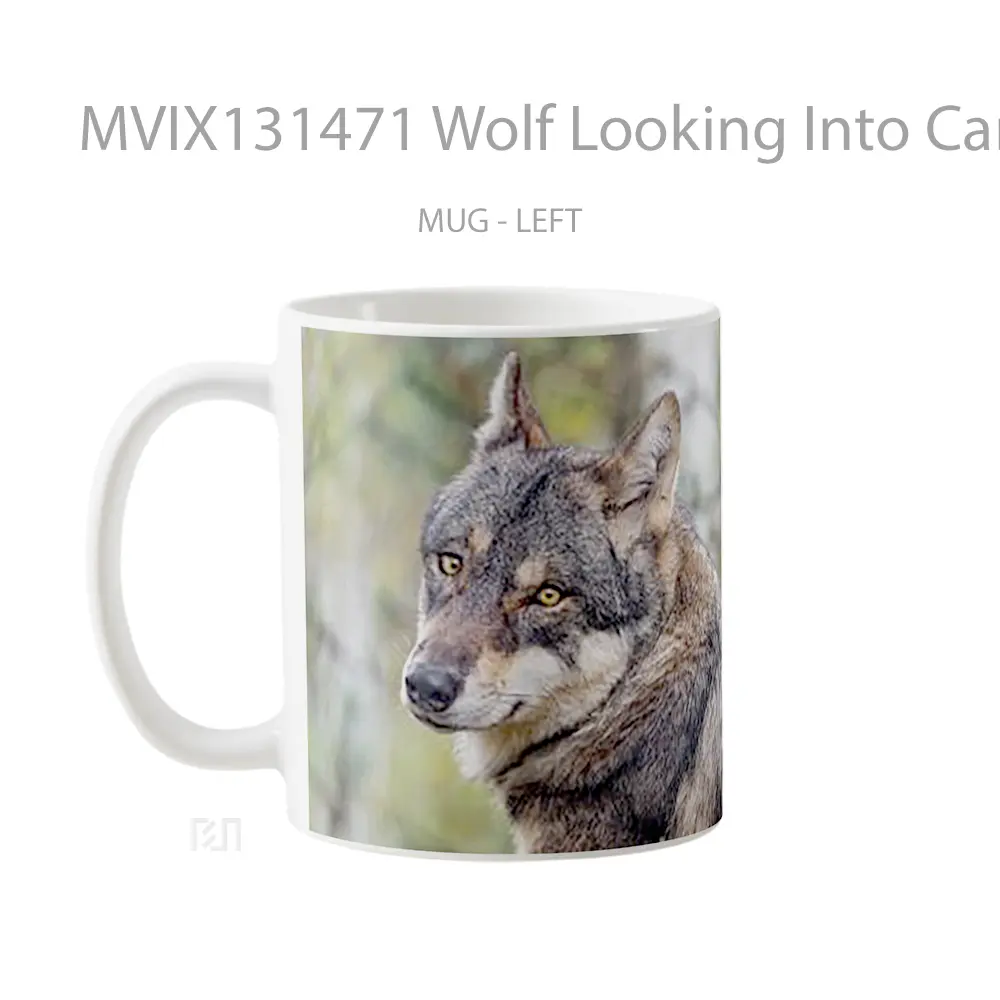 Mug Wolf Looking Into Camera Gelas Hewan Lucu - All-side / Desain