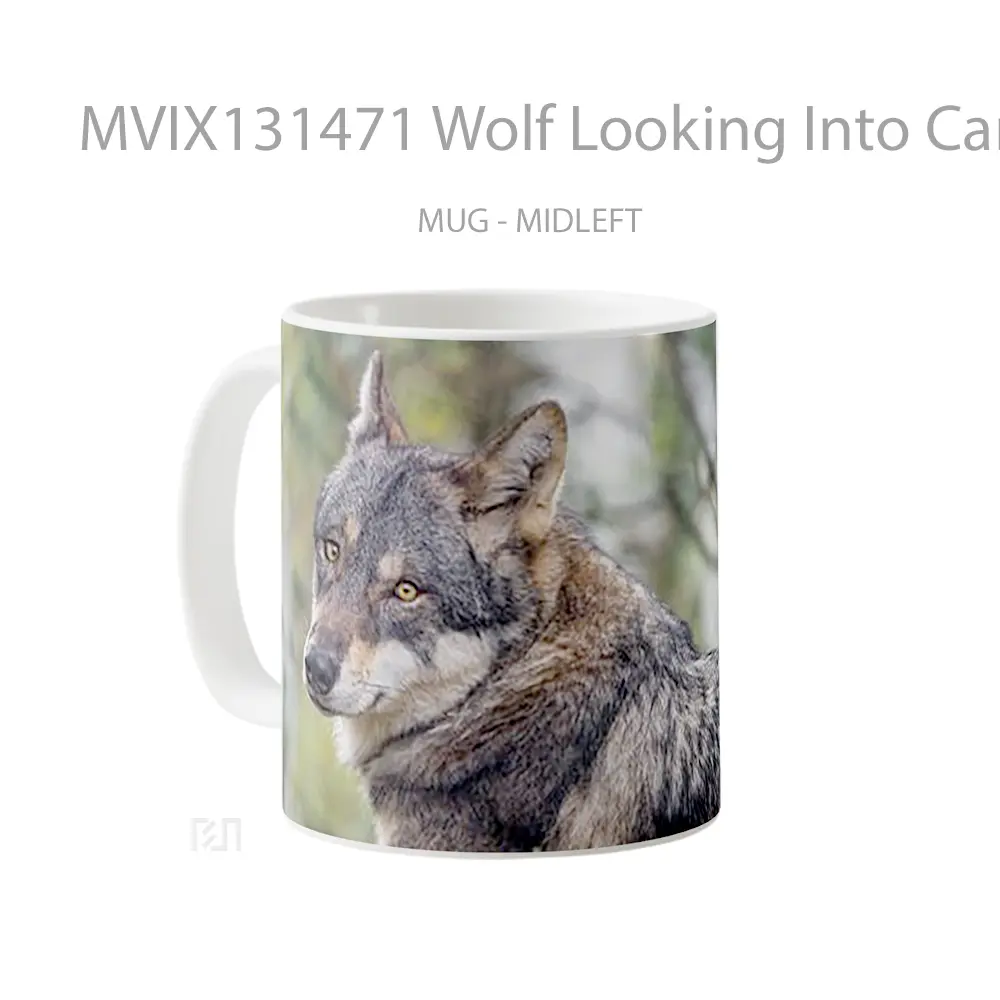 Mug Wolf Looking Into Camera Gelas Hewan Lucu - All-side / Desain
