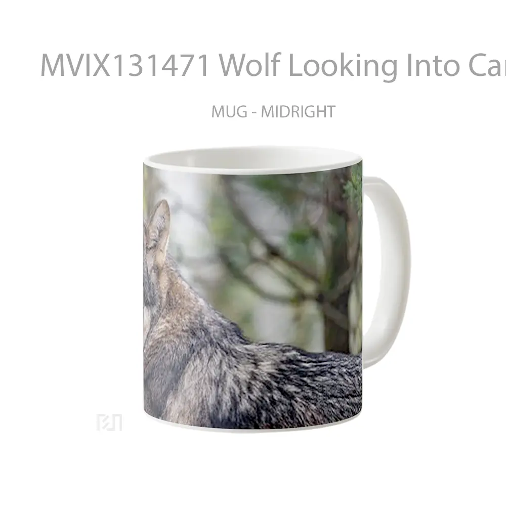 Mug Wolf Looking Into Camera Gelas Hewan Lucu - All-side / Desain