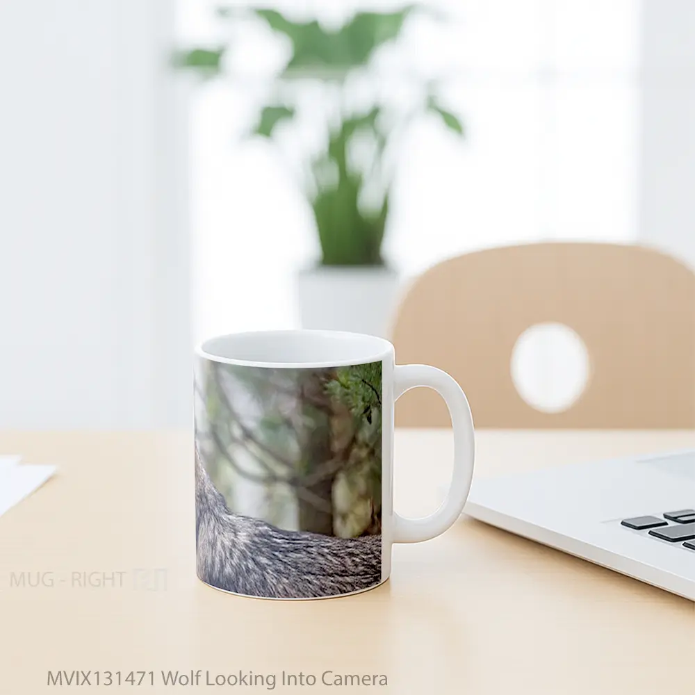 Mug Wolf Looking Into Camera Gelas Hewan Lucu - All-side / Desain