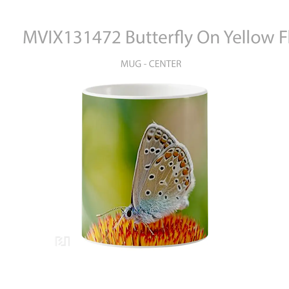 Mug Butterfly On Yellow Flower V1 Gelas Hewan Lucu