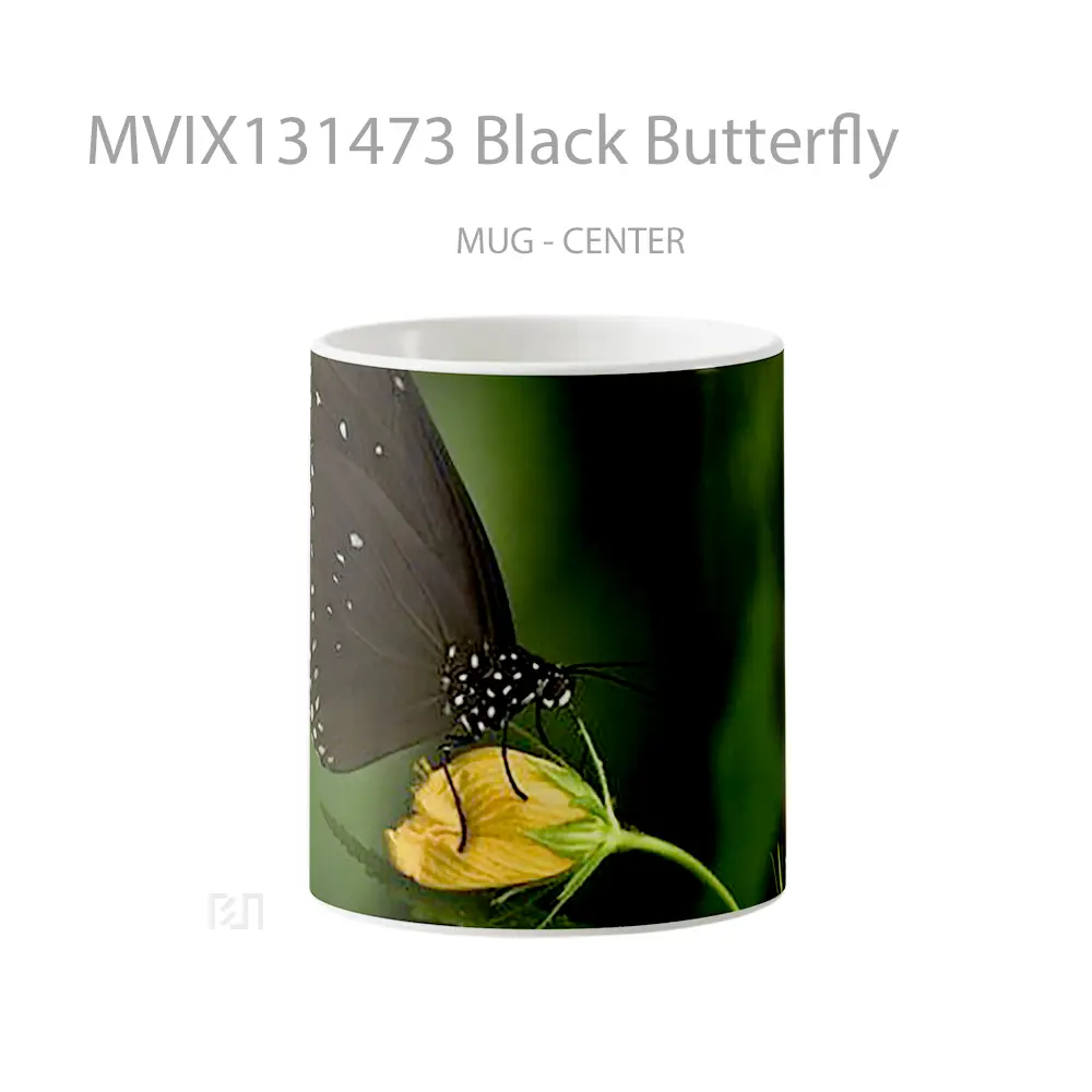 Mug Black Butterfly Gelas Hewan Lucu