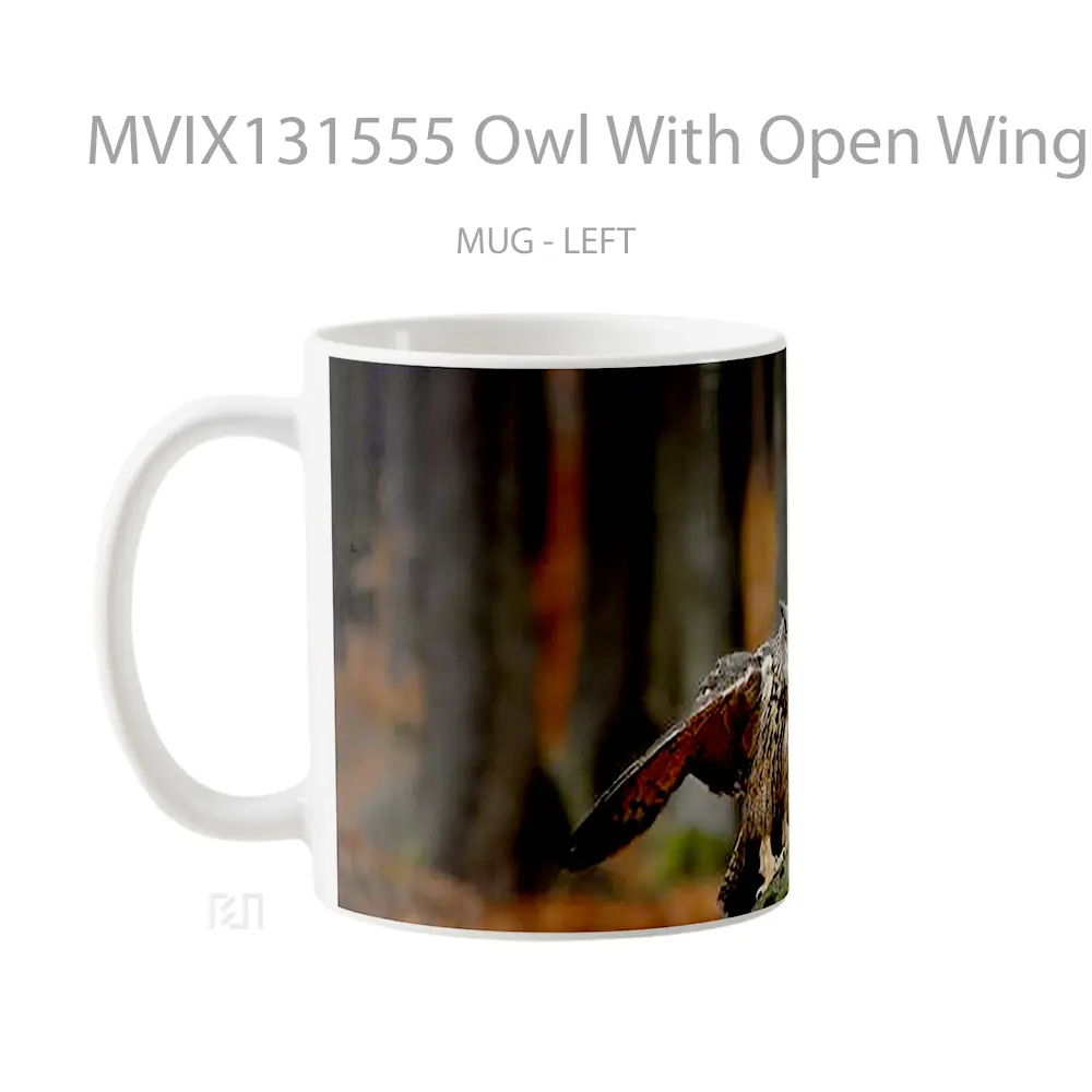 Mug Owl With Open Wings Gelas Hewan Lucu - All-side / Desain