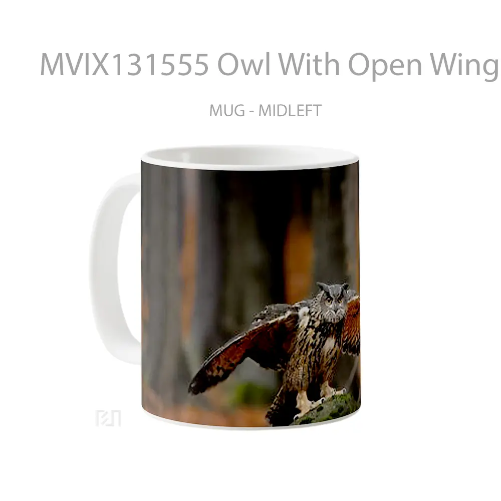 Mug Owl With Open Wings Gelas Hewan Lucu - All-side / Desain