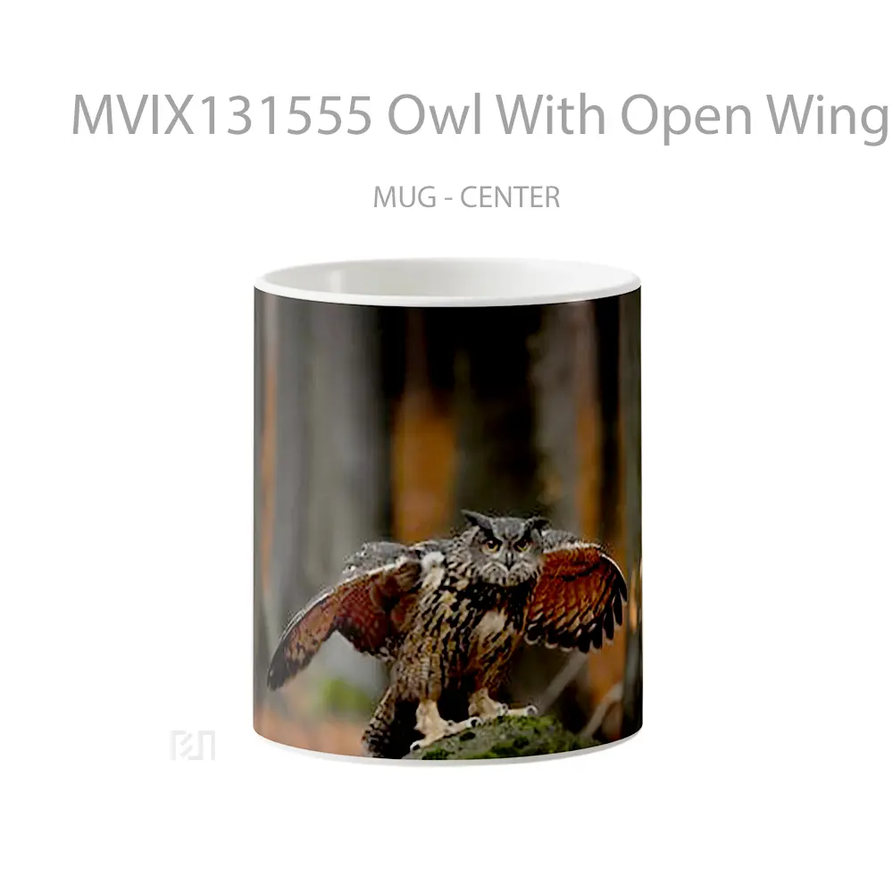 Mug Owl With Open Wings Gelas Hewan Lucu