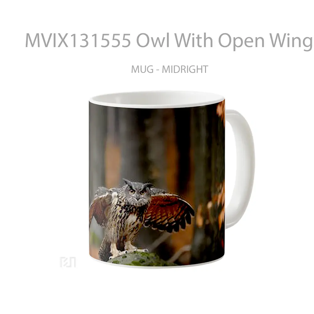 Mug Owl With Open Wings Gelas Hewan Lucu - All-side / Desain