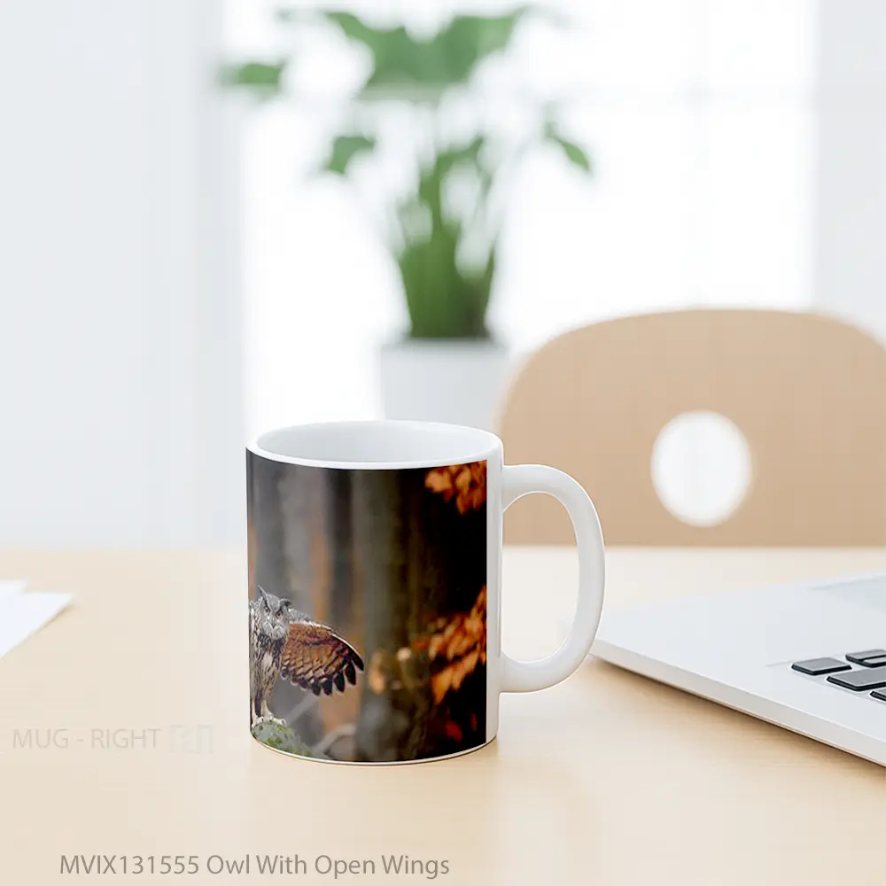 Mug Owl With Open Wings Gelas Hewan Lucu - All-side / Desain