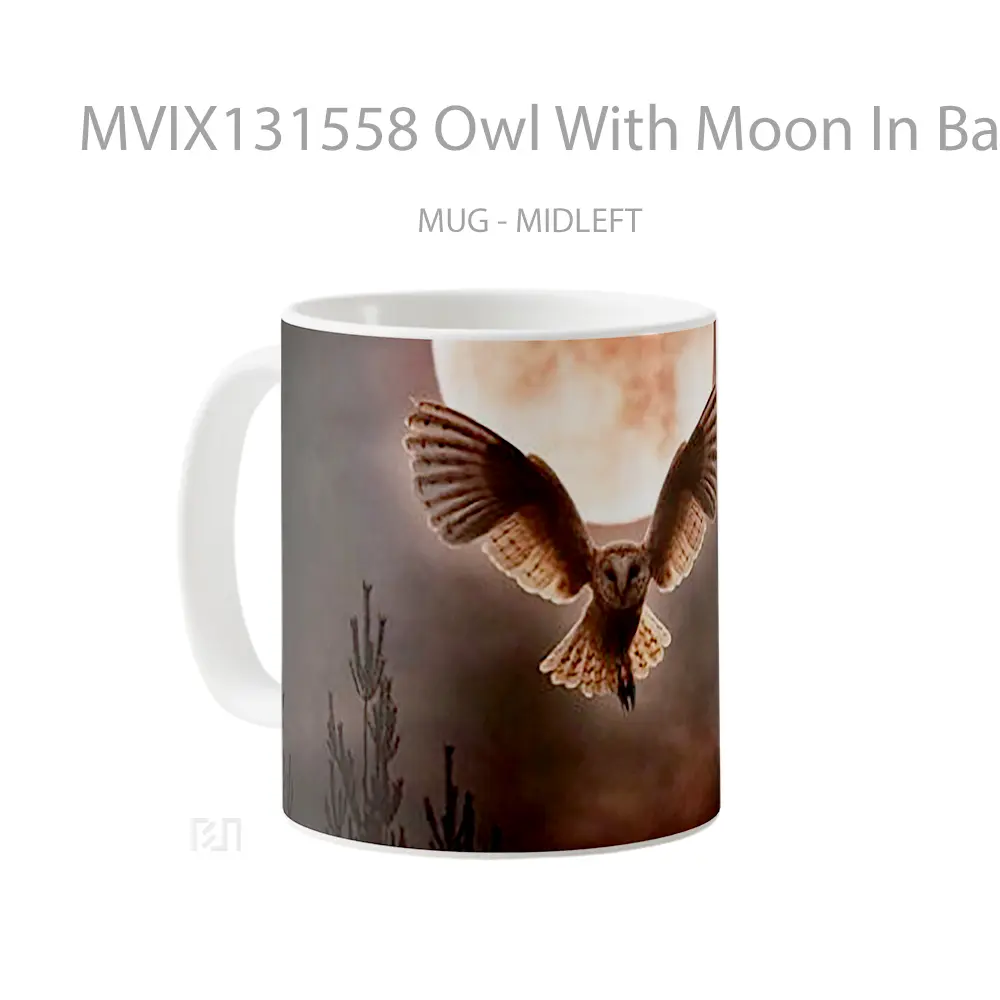 Mug Owl With Moon In Background Gelas Hewan Lucu - All-side / Desain