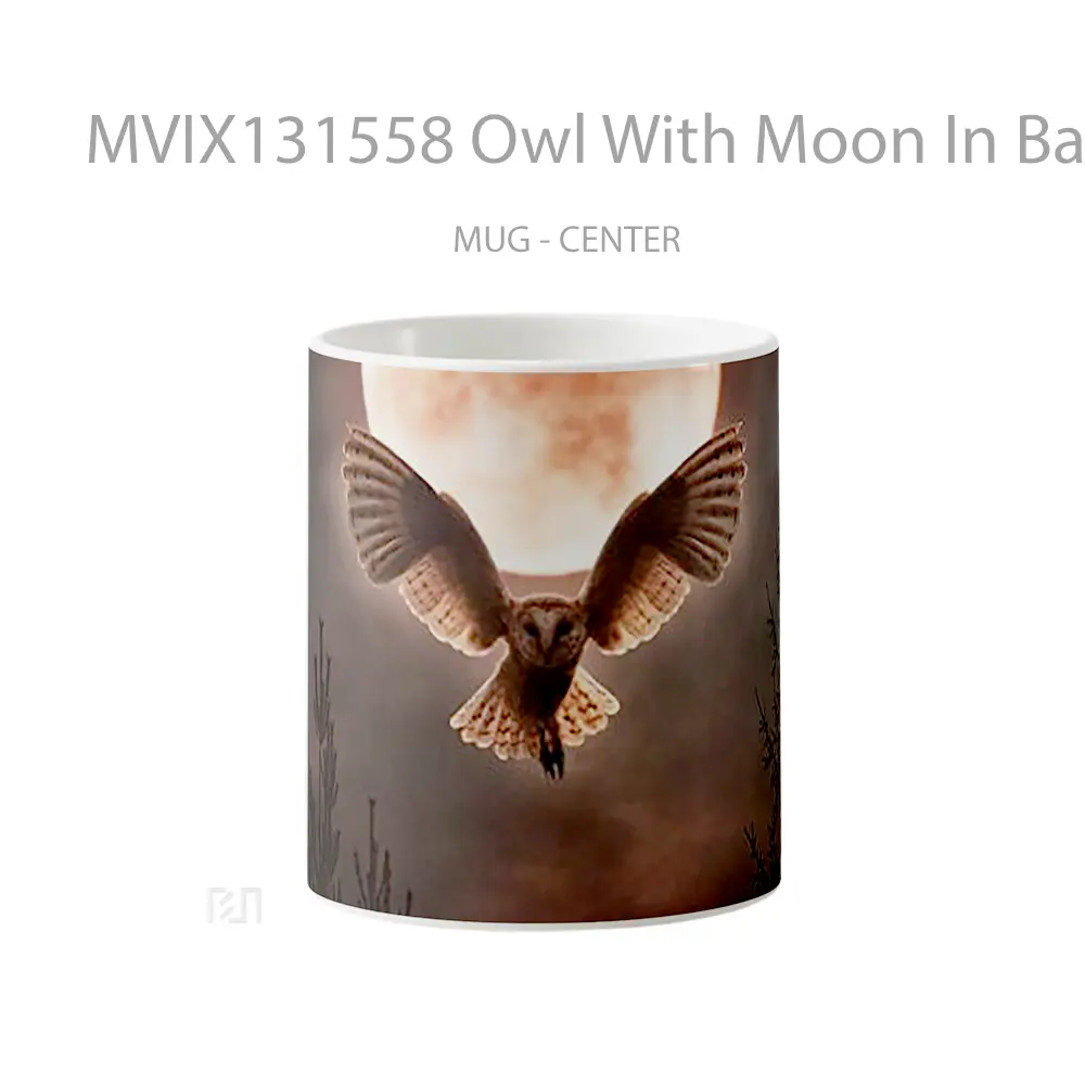 Mug Owl With Moon In Background Gelas Hewan Lucu