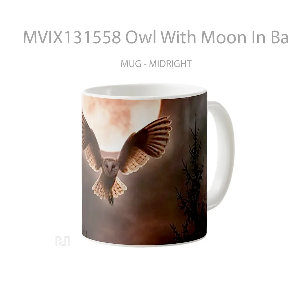 Mug Owl With Moon In Background Gelas Hewan Lucu - All-side / Desain