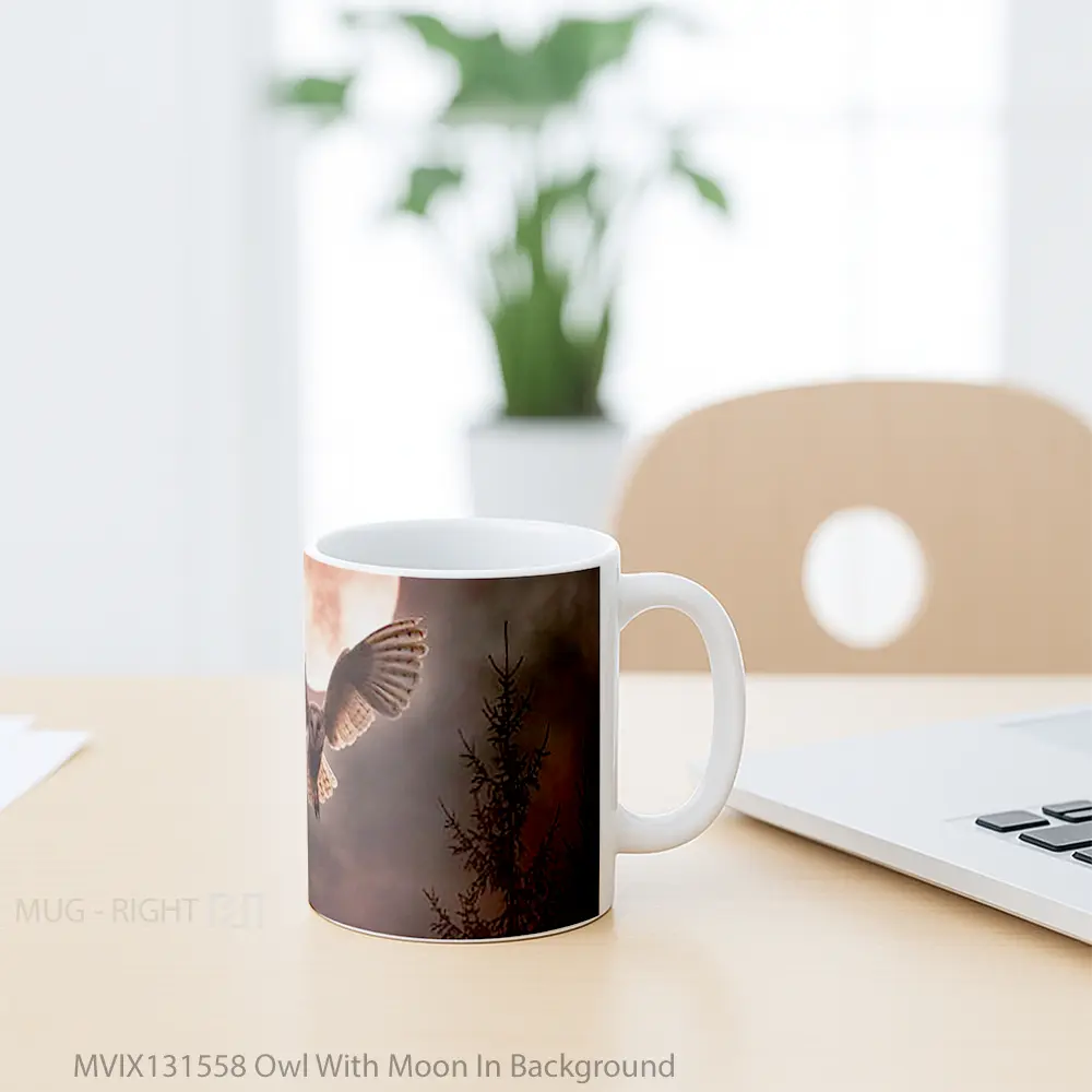 Mug Owl With Moon In Background Gelas Hewan Lucu - All-side / Desain