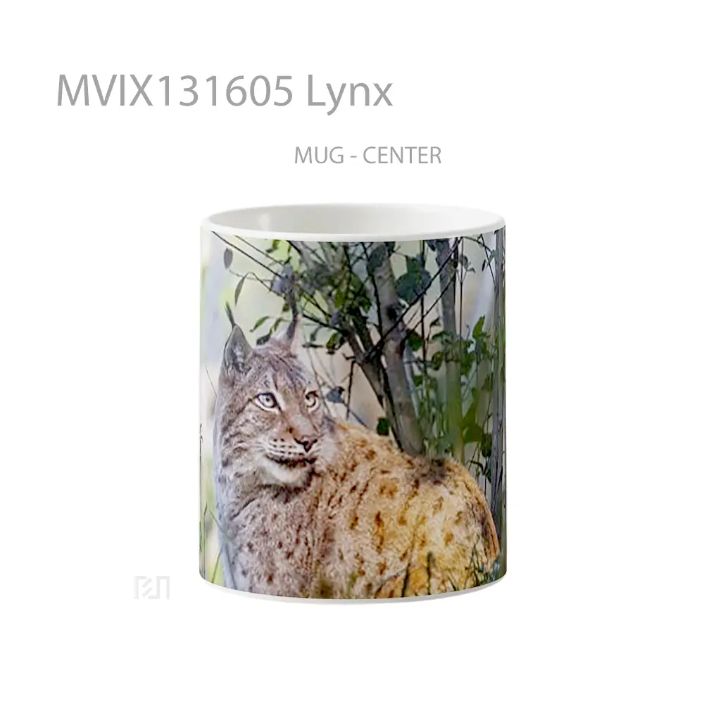 Mug Lynx Gelas Keramik Unik