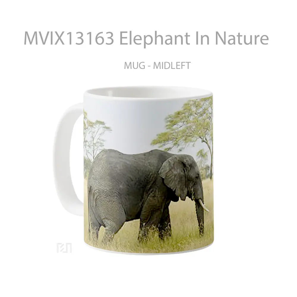 Mug Elephant In Nature Gelas Hewan Lucu - All-side / Desain