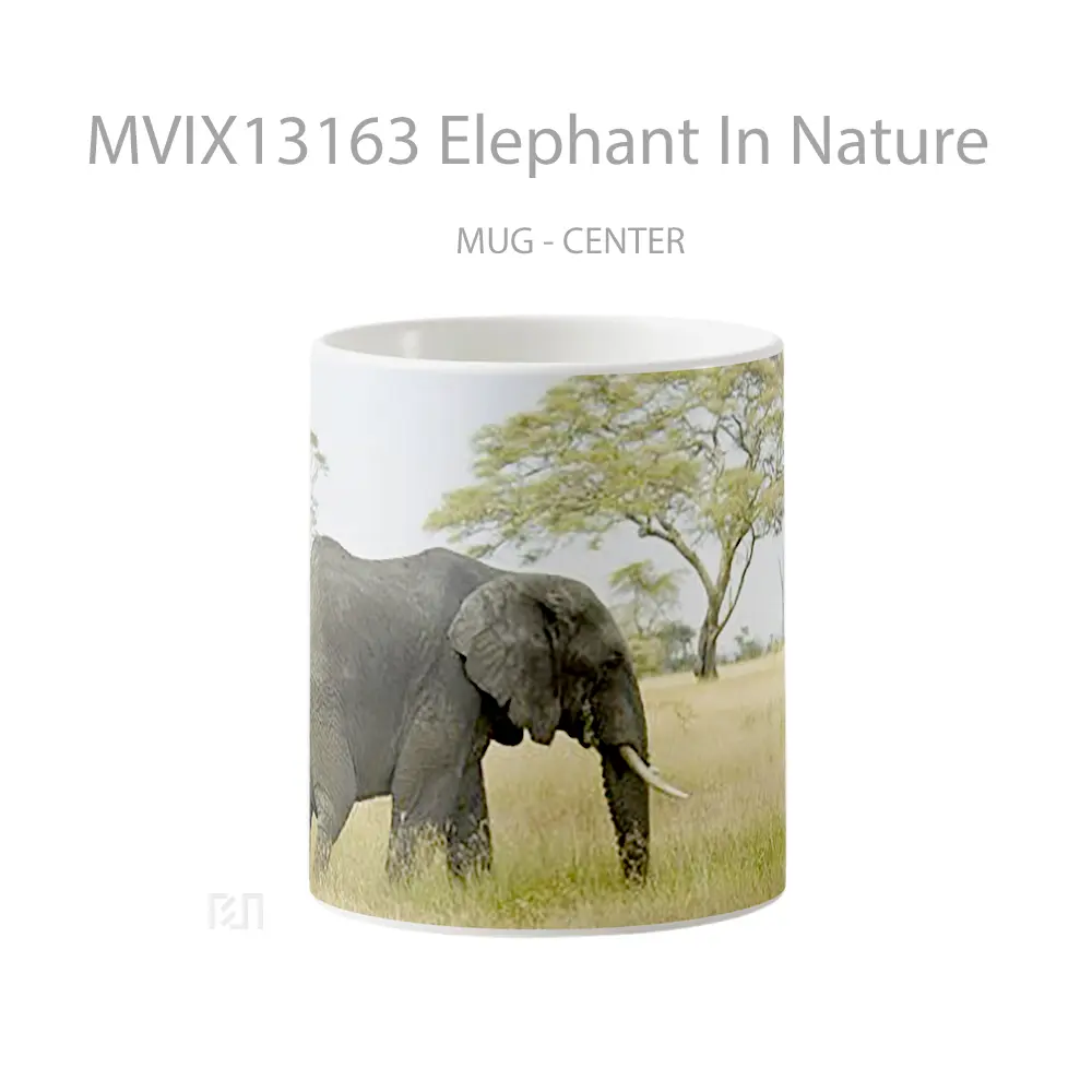 Mug Elephant In Nature Gelas Hewan Lucu
