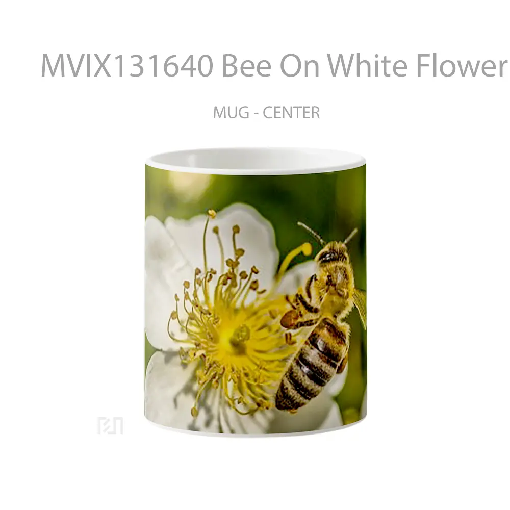 Mug Bee On White Flower Gelas Hewan Lucu