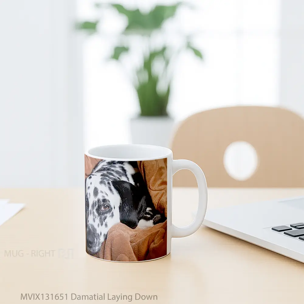 Mug Damatial Laying Down Gelas Keramik Unik - All-side / Desain