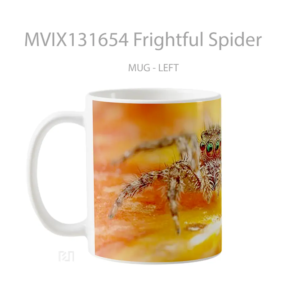 Mug Frightful Spider Gelas Keramik Unik - Tampak Kanan