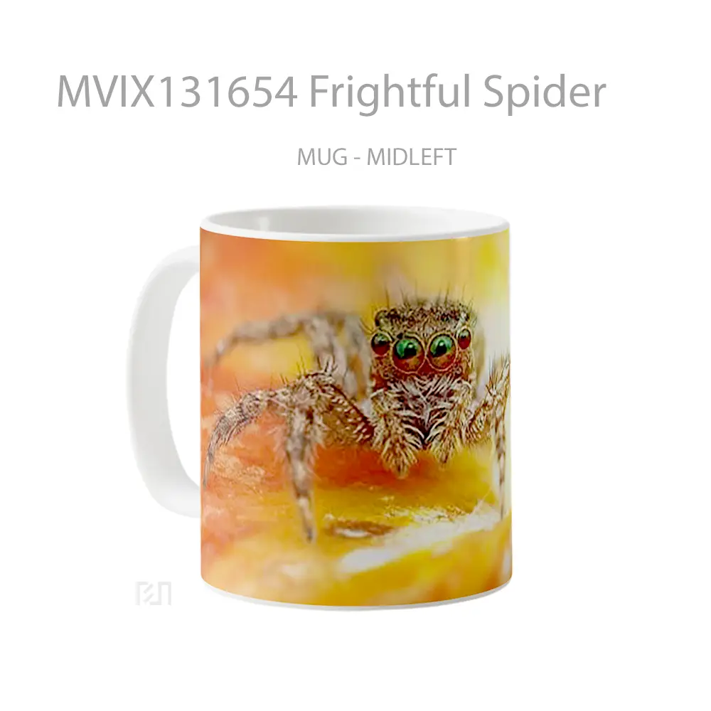 Mug Frightful Spider Gelas Keramik Unik - Tampak Kanan