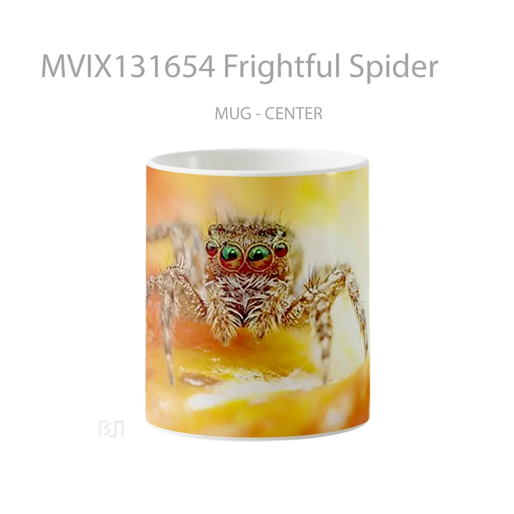 Mug Frightful Spider Gelas Keramik Unik