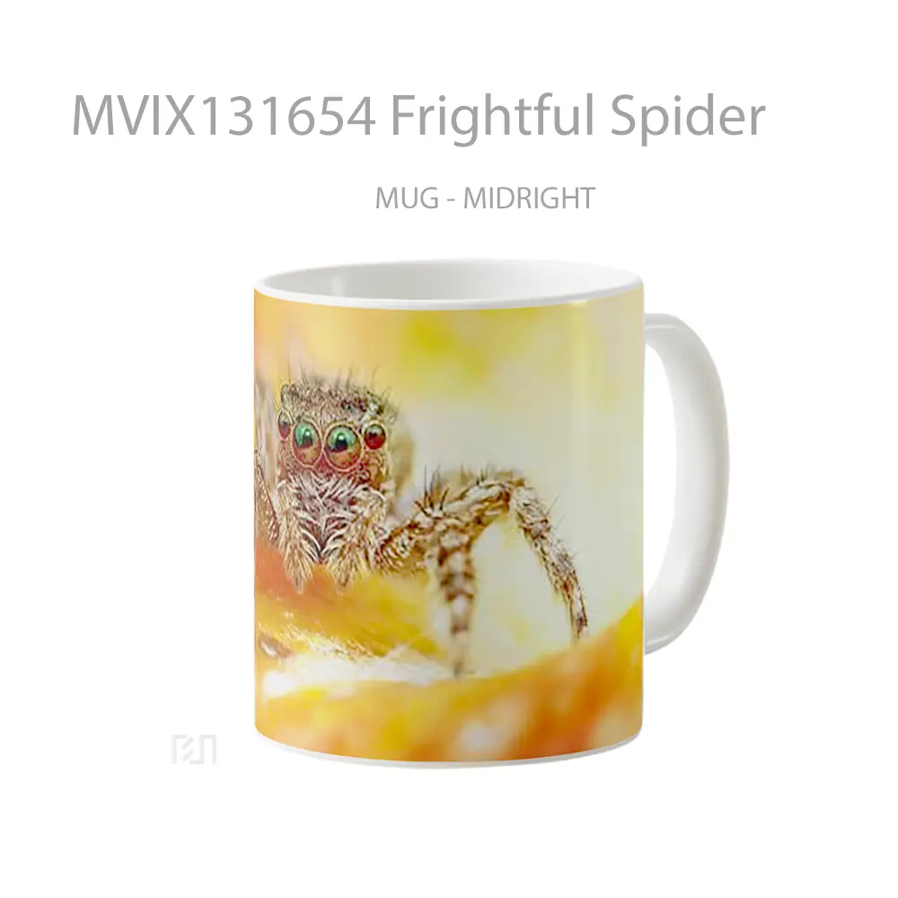 Mug Frightful Spider Gelas Keramik Unik - Tampak Kanan
