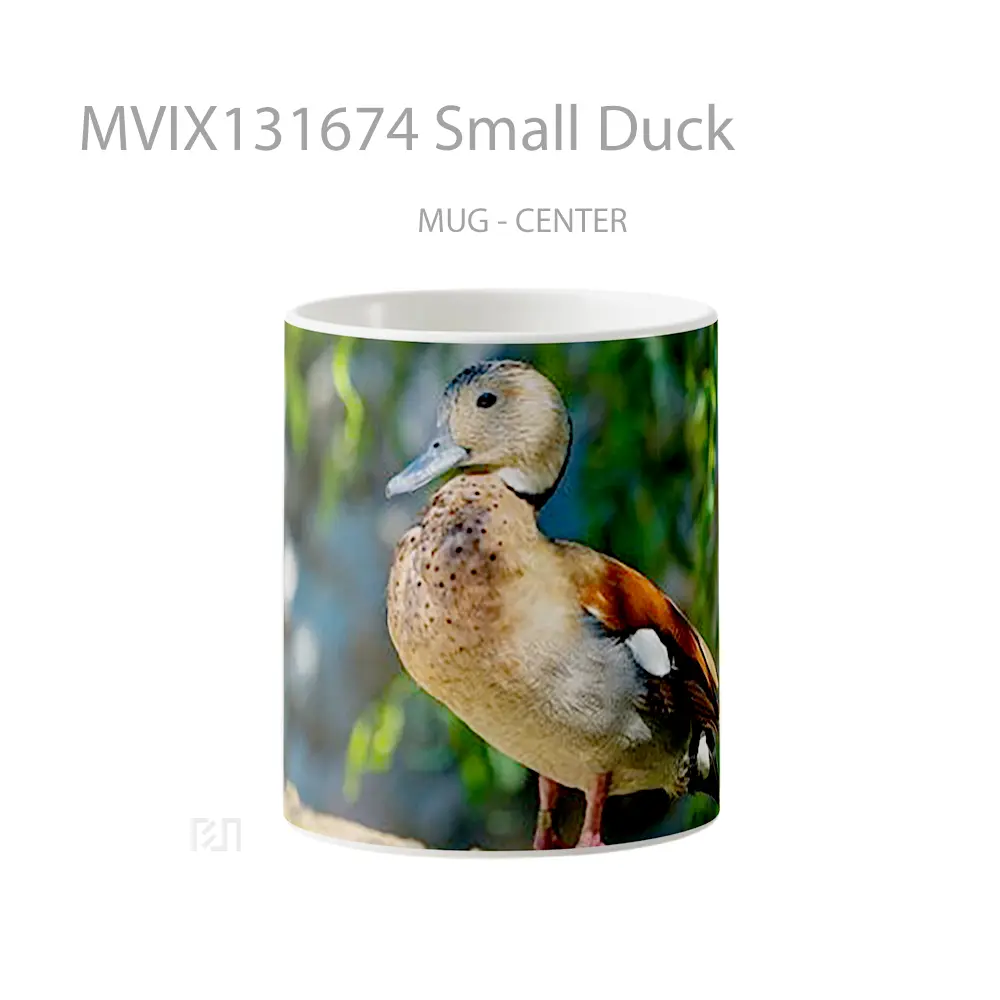 Mug Small Duck Gelas Hewan Lucu