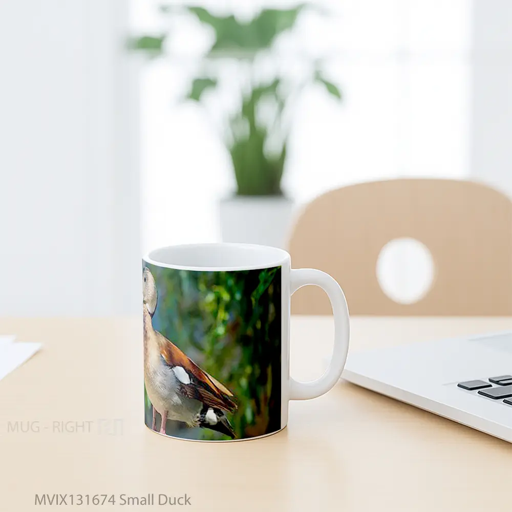 Mug Small Duck Gelas Hewan Lucu - All-side / Desain