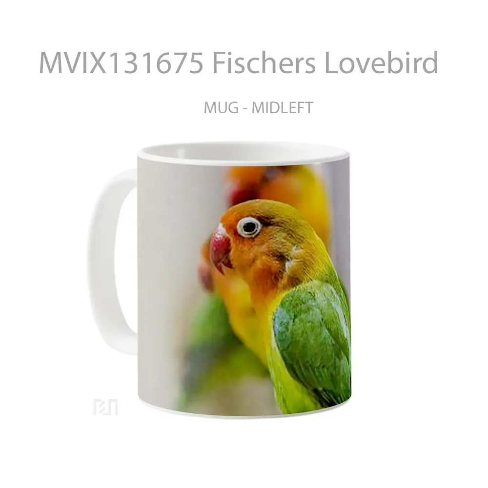Mug Fischers Lovebird Gelas Keramik Unik - All-side / Desain