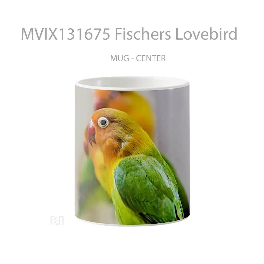 Mug Fischers Lovebird Gelas Keramik Unik