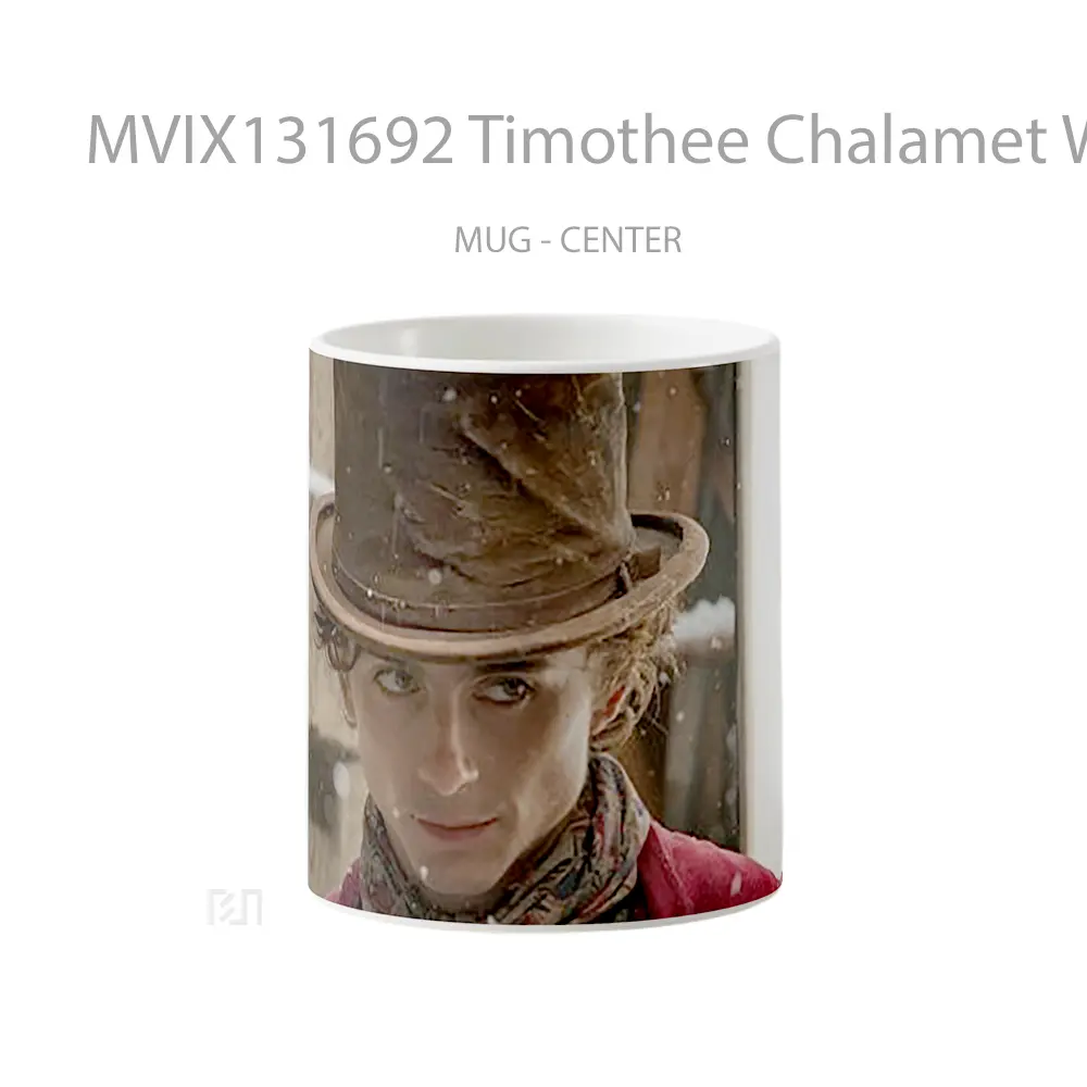 Mug Timothee Chalamet Wonka Gelas Keramik Unik