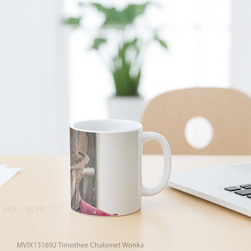 Mug Timothee Chalamet Wonka Gelas Keramik Unik - All-side / Desain