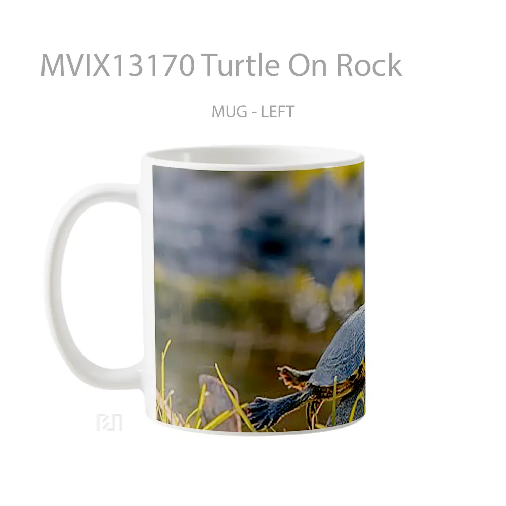 Mug Turtle On Rock Gelas Hewan Lucu - All-side / Desain