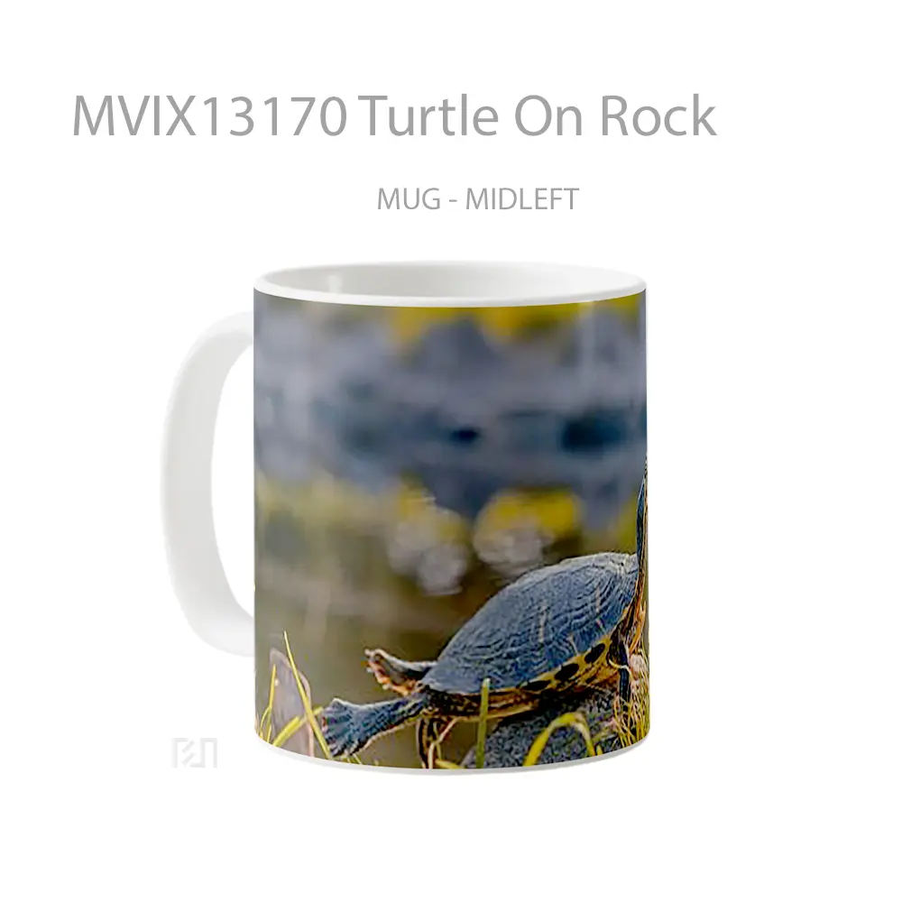 Mug Turtle On Rock Gelas Hewan Lucu - All-side / Desain