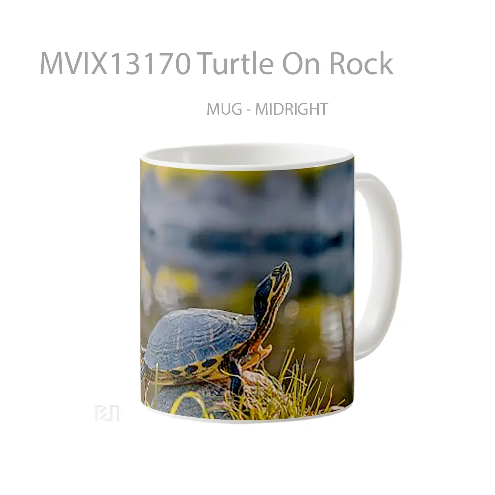 Mug Turtle On Rock Gelas Hewan Lucu - All-side / Desain