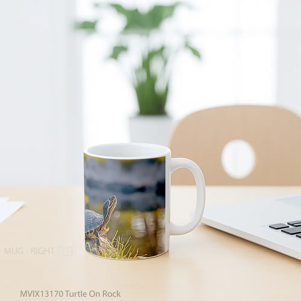 Mug Turtle On Rock Gelas Hewan Lucu - All-side / Desain