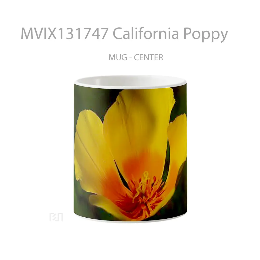 Mug California Poppy Gelas Keramik Unik